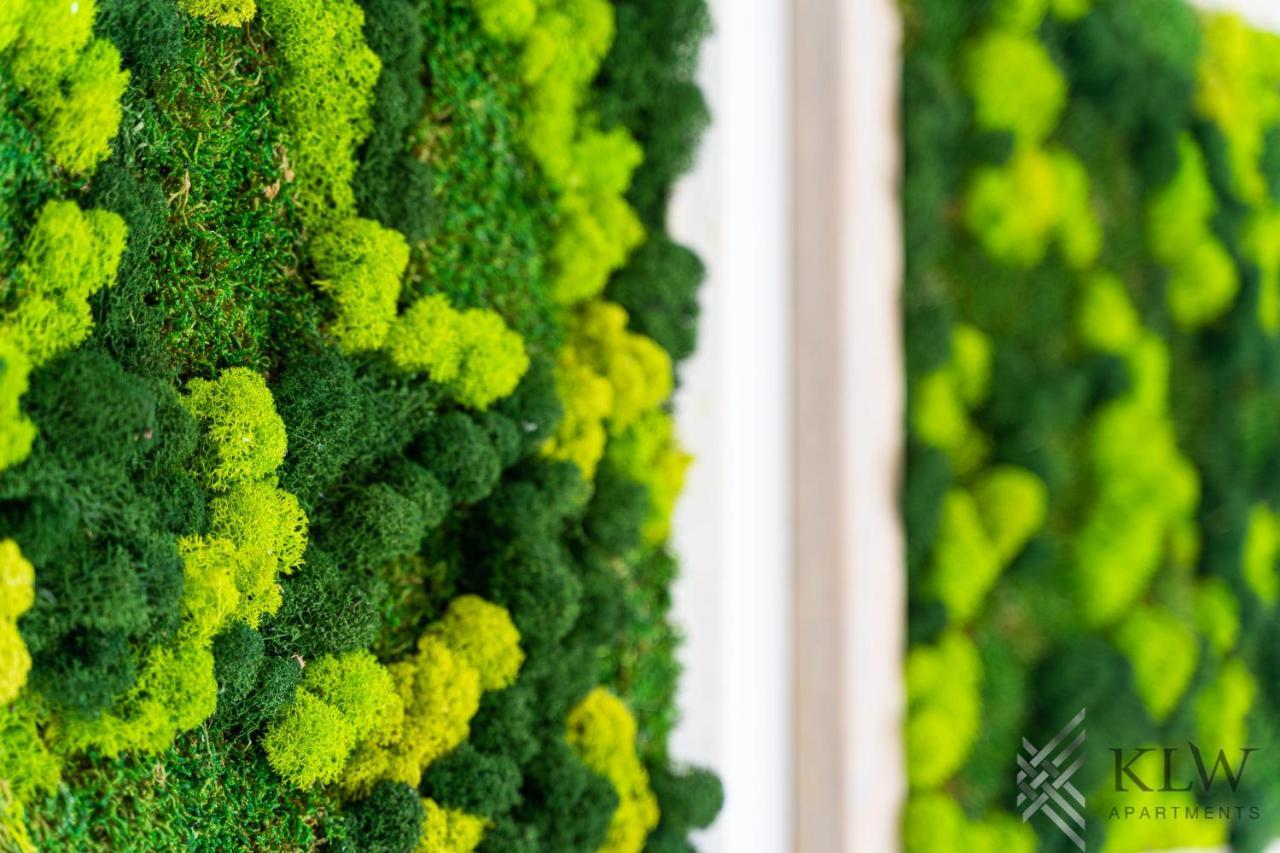 Klw Apartments Garden Centrum - Klimatyzacja シュチェチン エクステリア 写真